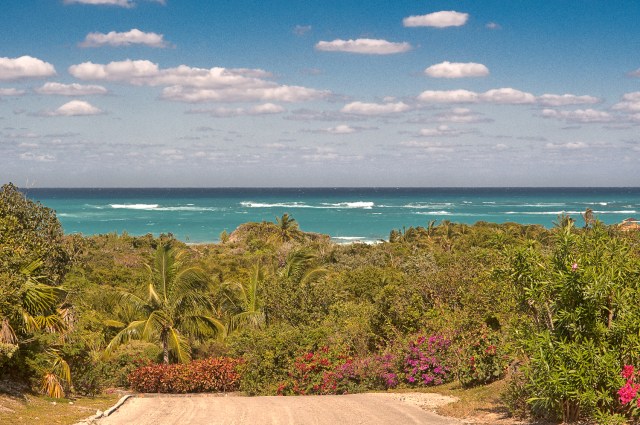 DSC_2228_easyHDR-default-2