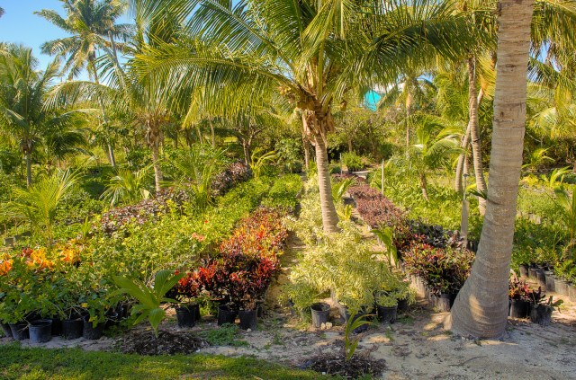 DSC_2233_easyHDR-enhance