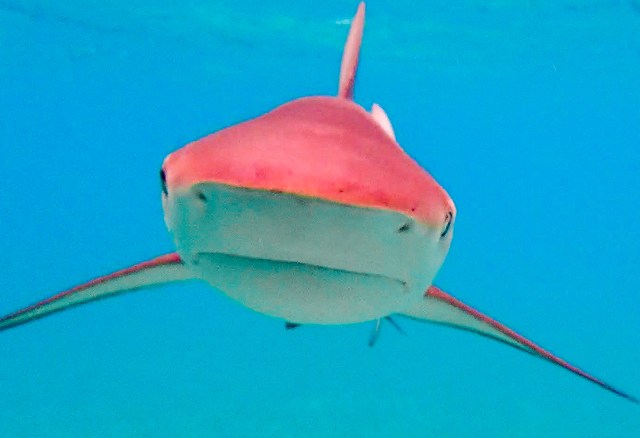 Screen Shot 2018-04-02 at 22.00.28