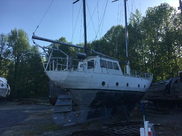 6633371_20180619091759042_1_LARGE