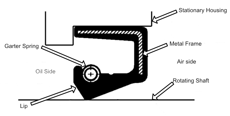 Anatomy of a lipseal.